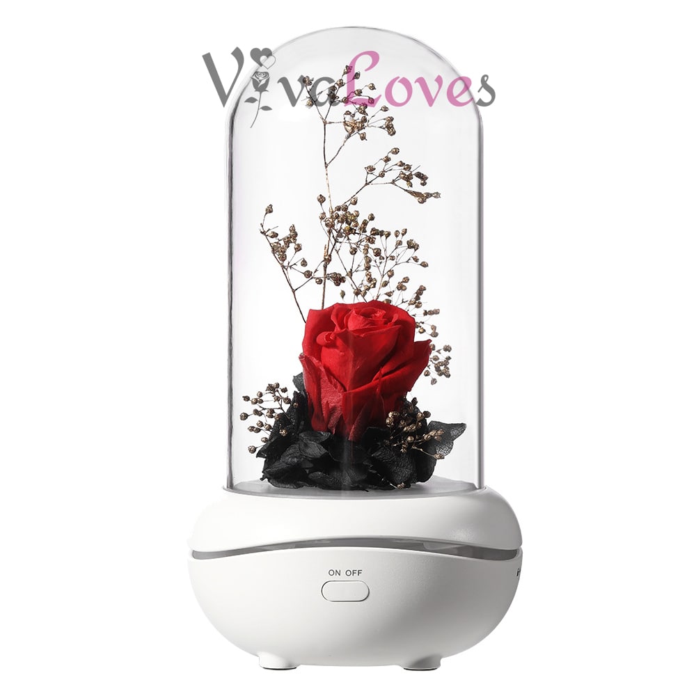 VivaRose - Sonsuz Aşkın Simgesi